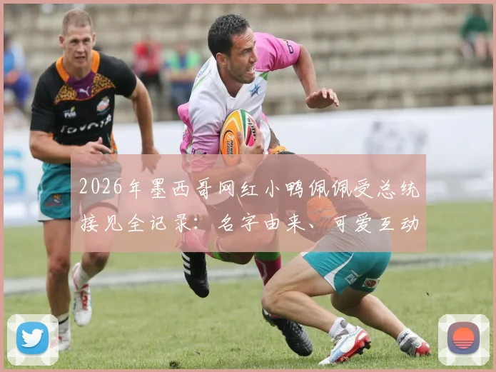2026年墨西哥网红小鸭佩佩受总统接见全记录：名字由来、可爱互动细节及“攻击”总统瞬间视频解析
