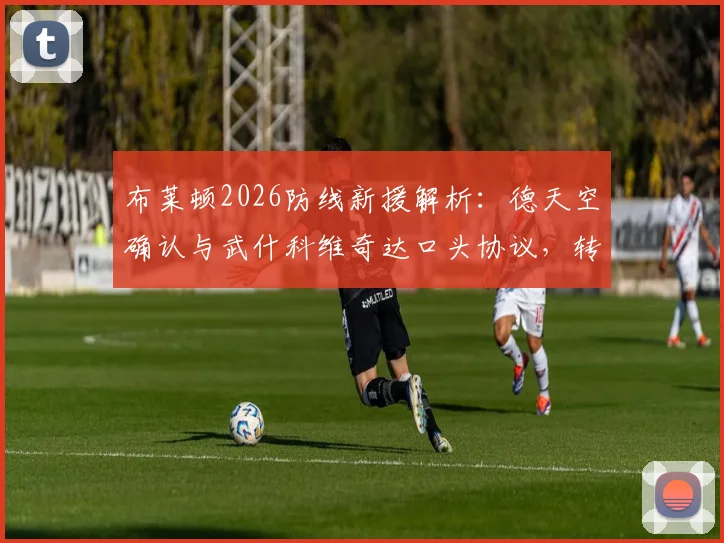 布莱顿2026防线新援解析：德天空确认与武什科维奇达口头协议，转会费预估、技术特点及对球队影响全览