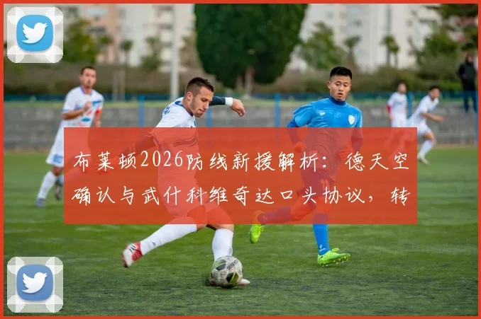 布莱顿2026防线新援解析：德天空确认与武什科维奇达口头协议，转会费预估、技术特点及对球队影响全览