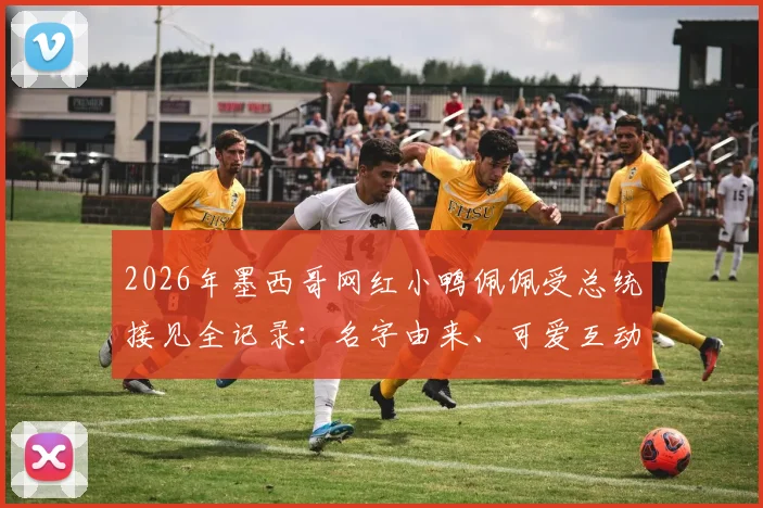 2026年墨西哥网红小鸭佩佩受总统接见全记录：名字由来、可爱互动细节及“攻击”总统瞬间视频解析